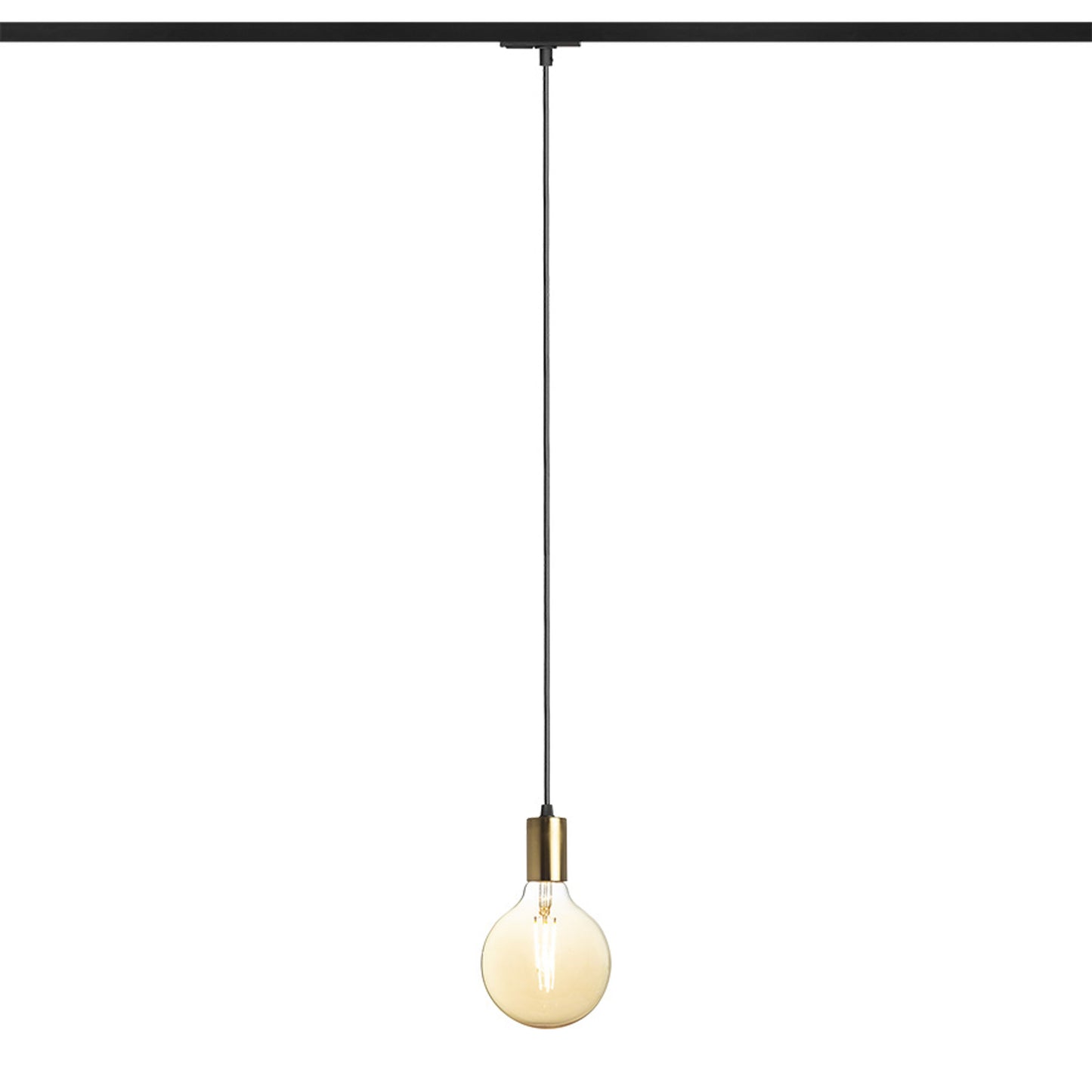 RENDL 1-circuit track system ARAQ for 1-circuit tracks pendant brushed brass/black 230V LED E27 15W R13978 1
