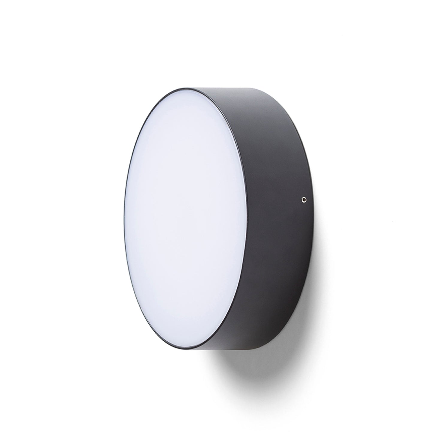 RENDL outdoor lamp LARISA OUT 22 surface mounted black 230V LED 20W IP65 3000K 4000K 5700K R14126 2