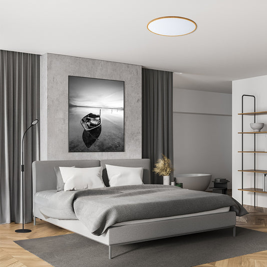 Ceiling lamps