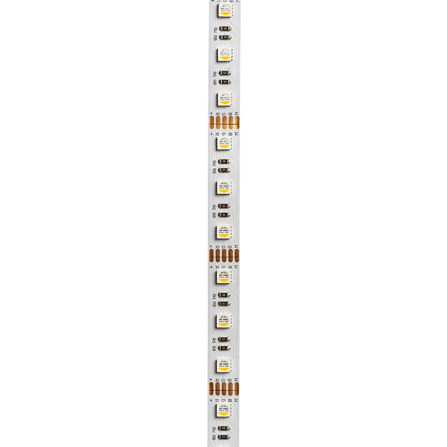 RENDL LED-strip LED STRIP ORION RGBW LED-strip 5m   12V= LED 96W 120°  RGBW G13820 11