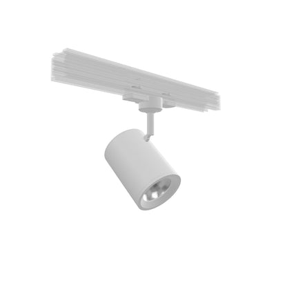 CADENZA NA TROJOKRUH. LIŠTU