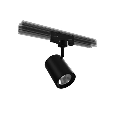 CADENZA NA TROJOKRUH. LIŠTU