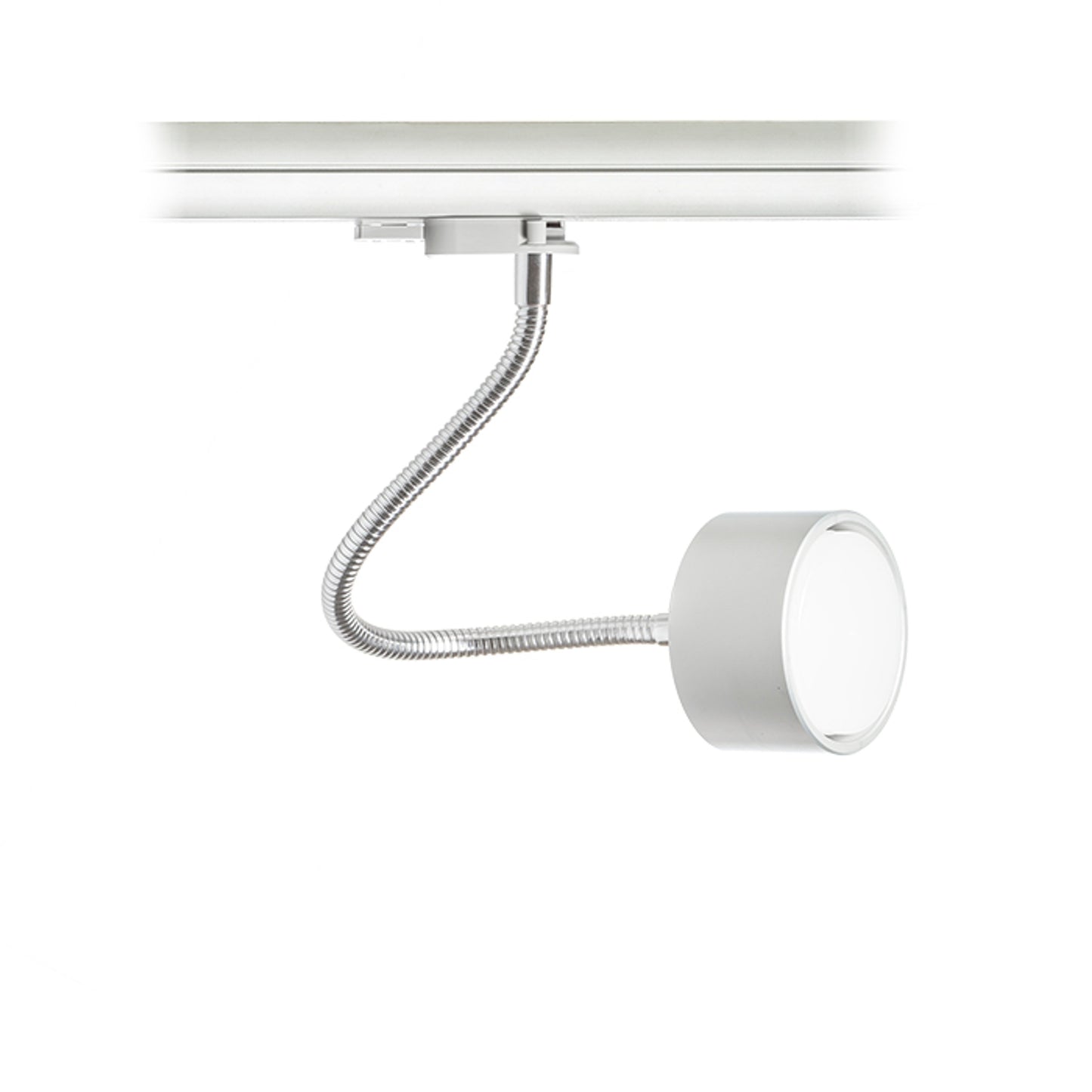 RENDL 3-circuit track system PIXIE on goose neck for 3-circuit tracks silver grey chrome 230V LED GX53 7W R10641 3