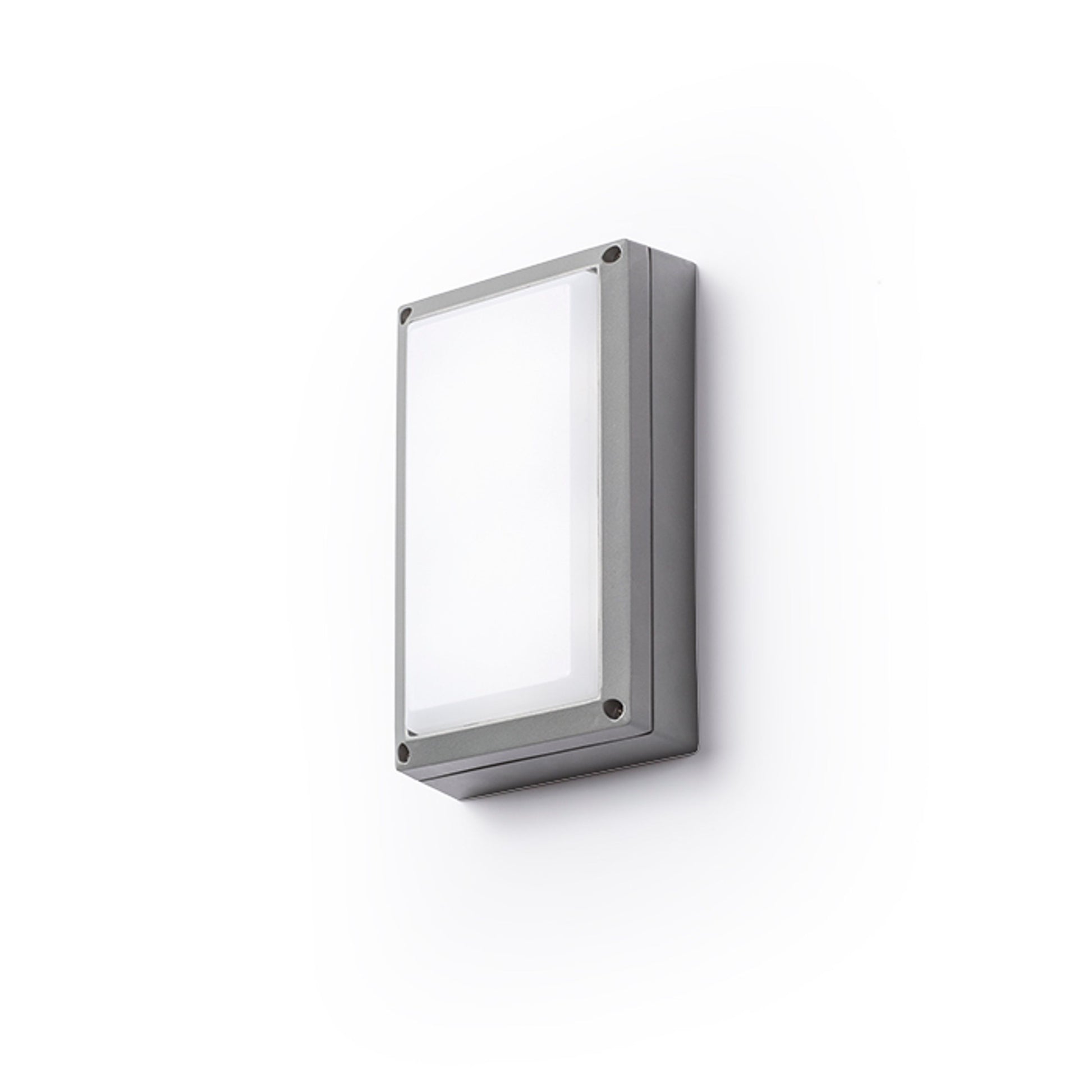 RENDL outdoor lamp ASPEN surface mounted silver grey  230V LED 5W IP54  3000K R12011 1
