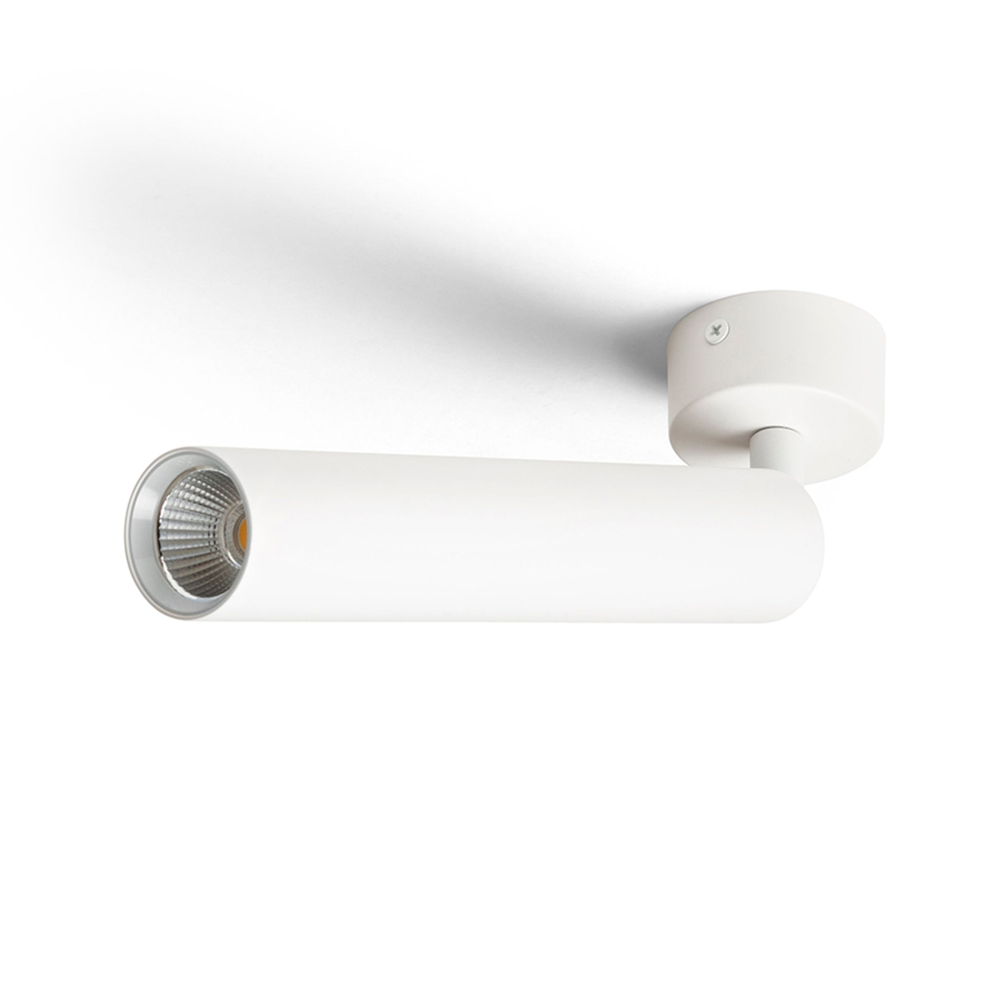RENDL spotlight DARRIN R surface mounted white  230V LED 6W 24°  3000K R14470 4