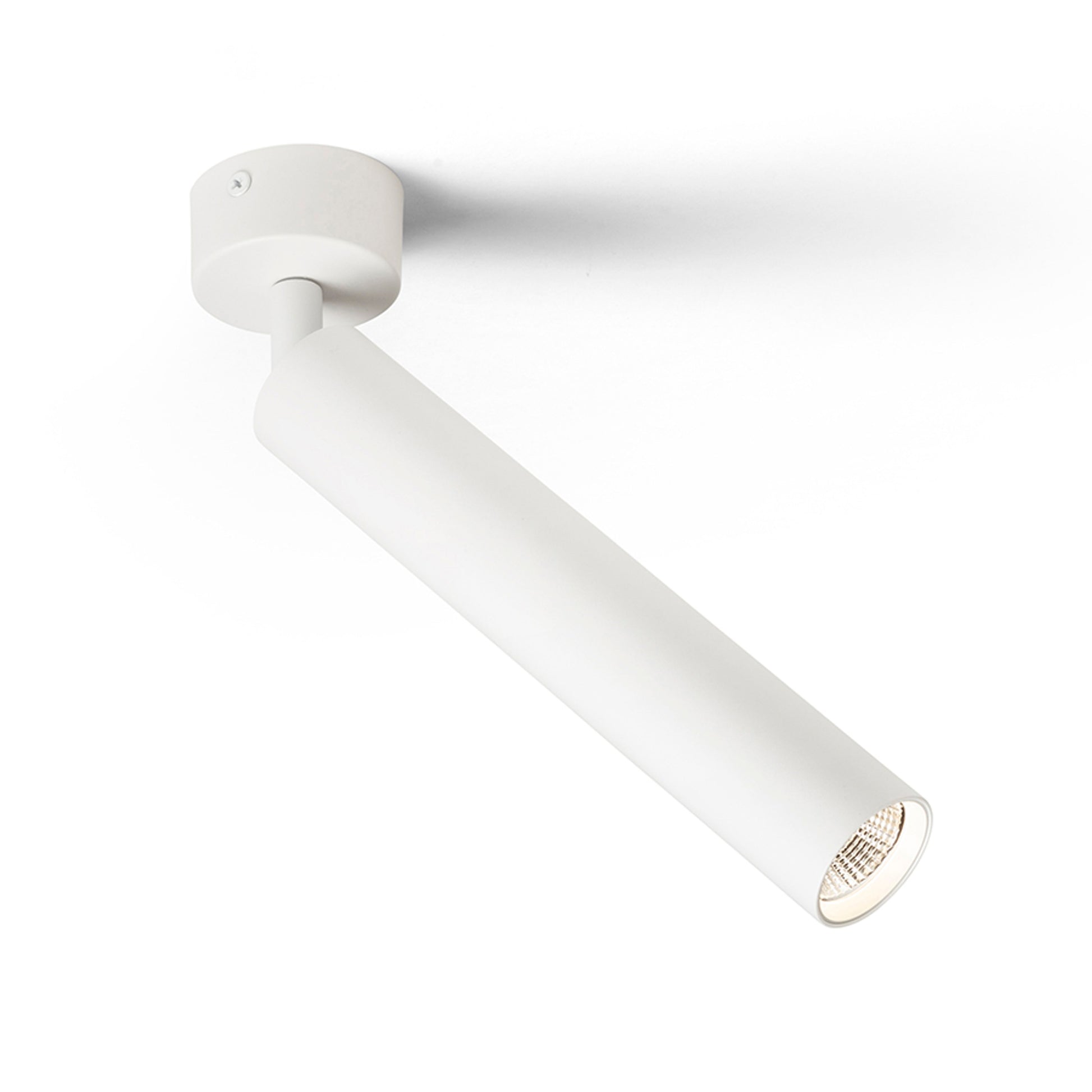 RENDL spotlight DARRIN R surface mounted white  230V LED 6W 24°  3000K R14470 6